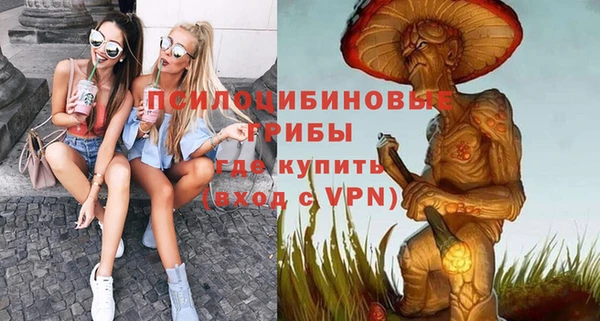 ГАЛЛЮЦИНОГЕННЫЕ ГРИБЫ Нефтегорск