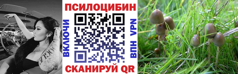 Галлюциногенные грибы Magic Shrooms Волгоград