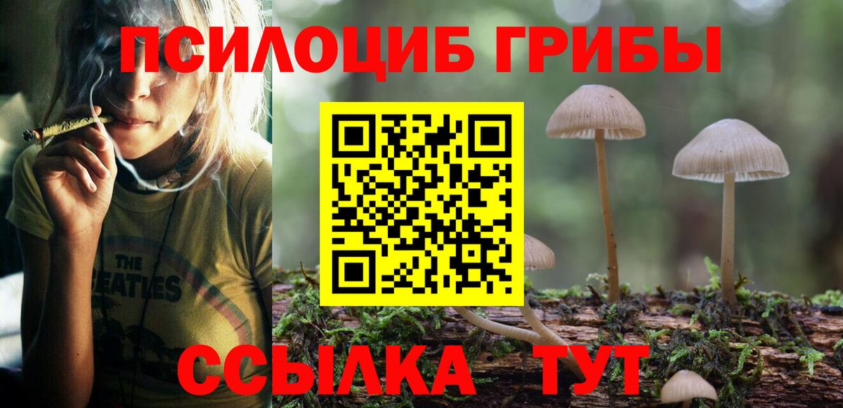 Псилоцибиновые грибы прущие грибы  Вход с VPN  Волгоград 